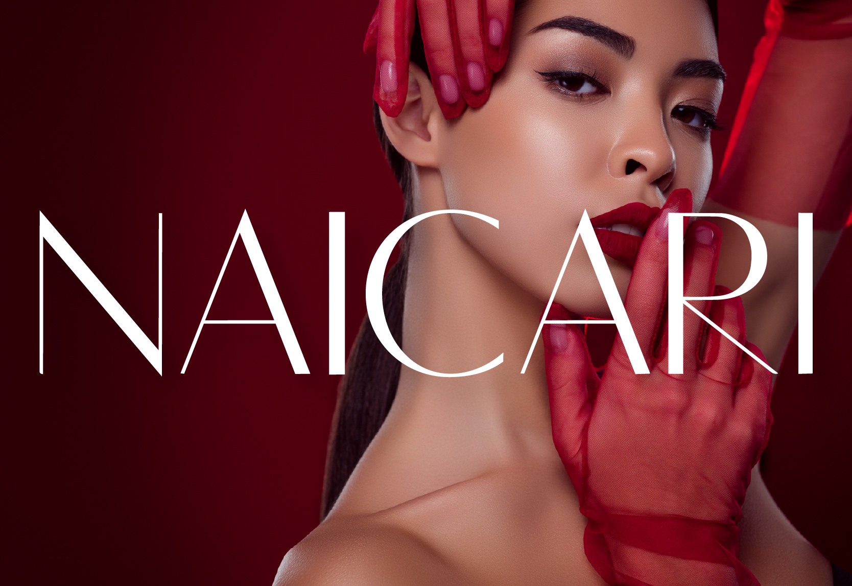 Naicari logo