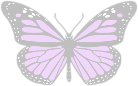 Hilary Iker Butterfly