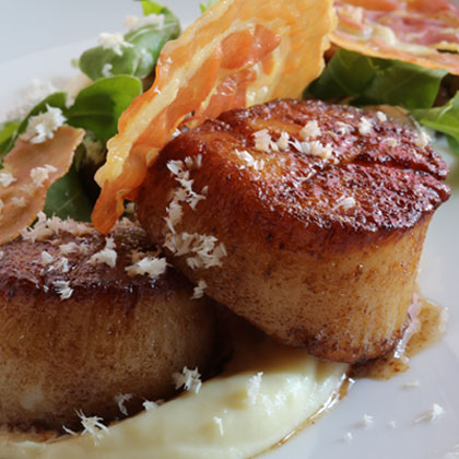 Scallops parsnip / crispy pancetta / horseradish / oyster mushrooms / arugula